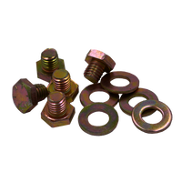 RBL-BOLT-SSBZ-24 (Bronze Stainless Steel Bolt & Washer -24 Pieces)