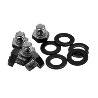 RBL-BOLT-SSG-24  (Gray Stainless Steel Bolt & Washer -1 Piece)
