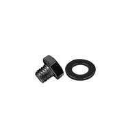 RBL-BOLT-SSG-24  (Gray Stainless Steel Bolt & Washer -1 Piece)