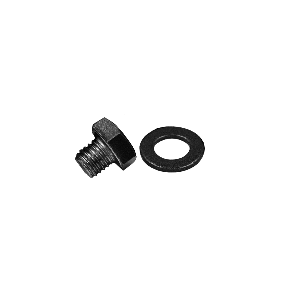 RBL-BOLT-SSG-24 (Gray Stainless Steel Bolt & Washer -1 Piece)